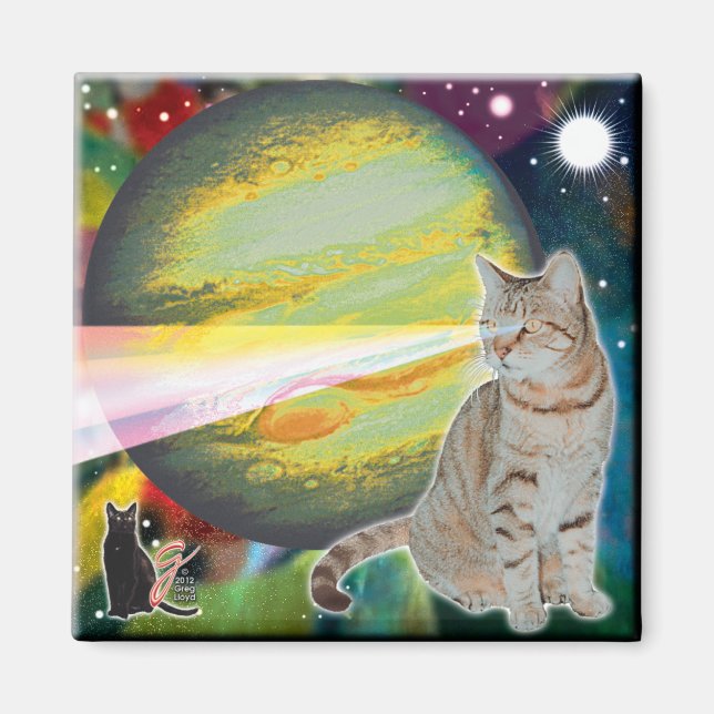 Imã Ímã Musgo-corpo de Gato-Laser (Frente)