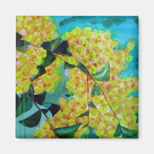 Imã Ímã nativo australiano da arte da flor do Wattle