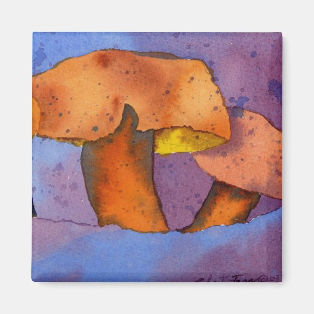 Imã Ímã naturalmente ímpar (Frente)