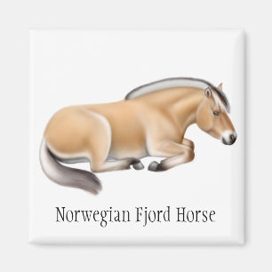 Imã Ímã norueguês do cavalo do fiorde