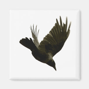 Imã ímã nunca mais