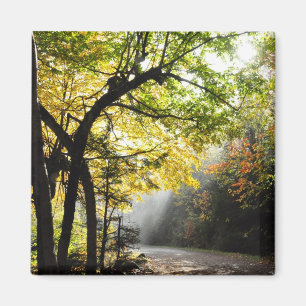 Imã Ímã obscuro do QC de Ste-Anne da garganta da