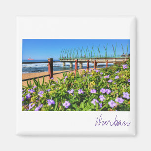 Imã Ímã Oceano Durban Pier África do Sul