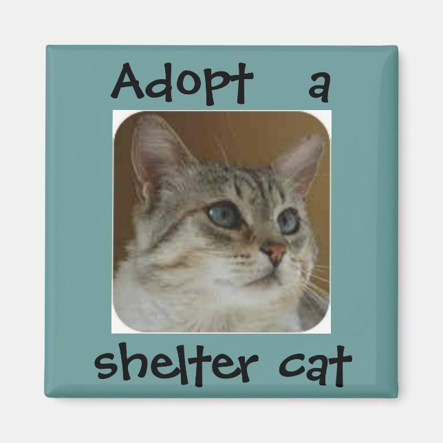 Imã Ímã Ole Blue Eyes (Frente)