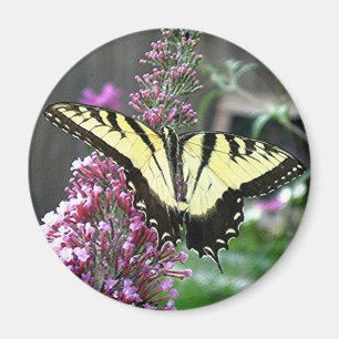 Imã Ímã ORIENTAL do TIGRE SWALLOWTAIL