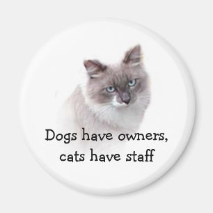 Imã Ímã - os cães têm proprietários, gatos têm