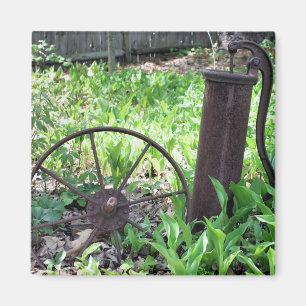 Imã Ímã oxidado da natureza do jardim das coisas