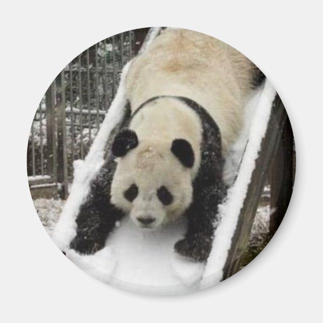 Imã ímã panda (Frente)