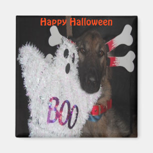 Imã Ímã Pastor Alemão Halloween Boo