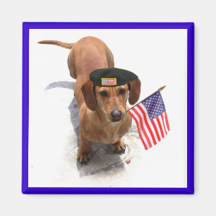 Imã Ímã patriótico do dachshund
