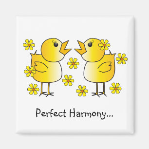 Imã Ímã perfeito da harmonia