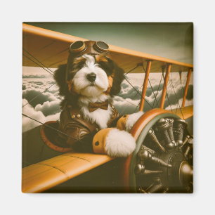 Imã ímã piloto Bernedoodle