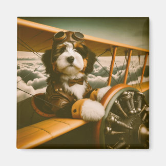 Imã ímã piloto Bernedoodle