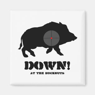 Imã Ímã - porco preto para baixo! , No Bucknuts
