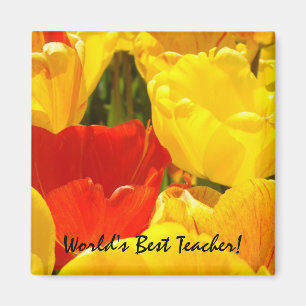 Imã Ímã Presentes Professor do Mundo! Tulipa Flores