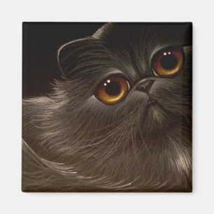 Imã Ímã PRETO do CAT PERSA