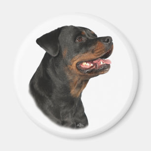 Imã Ímã principal de Rottweiler