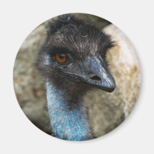 Imã Ímã principal do Emu