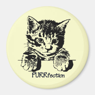 Imã Ímã Purrfection do gato
