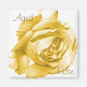 Imã Ímã quadrado cor-de-rosa envelhecido