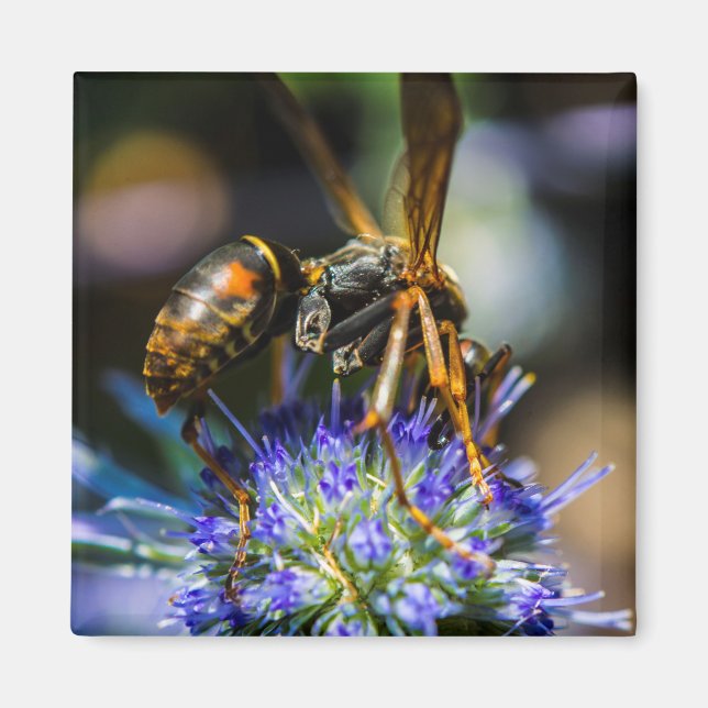 Imã Ímã Quadrado de 2 Polegadas Bee Aware (Frente)