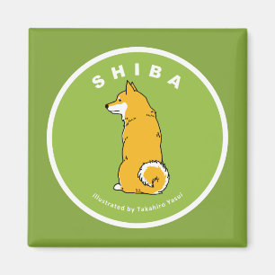 Imã Ímã quadrado de Shiba