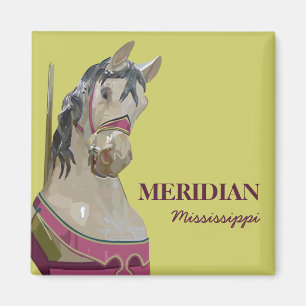 Imã Ímã quadrado meridiano