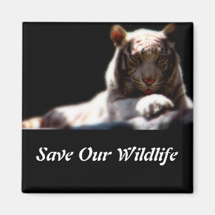 Imã Ímã Quadrado Salve Nossa Vida Selvagem Tigre