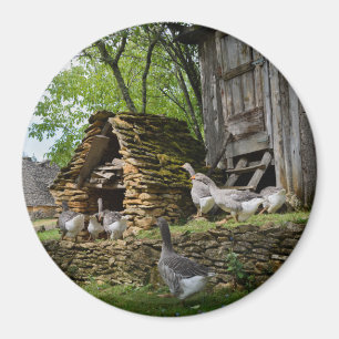 Imã Ímã redondo da fazenda tradicional do ganso dos