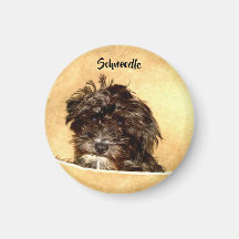 Ímã Redondo de Cachorro Schnoodle