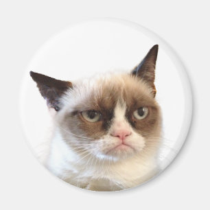 Imã Ímã redondo do gato mal-humorado