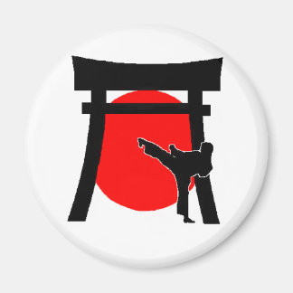 Imã ímã redondo ichiban