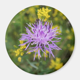 Imã Ímã redondo manchado do Wildflower roxo do
