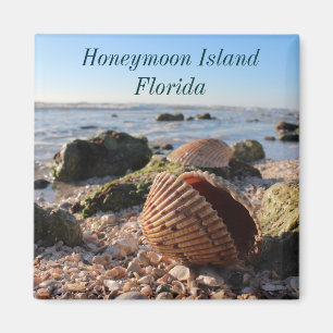 Imã Ímã romântico dos Seashells de Florida da ilha