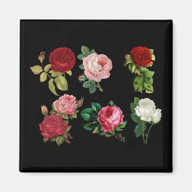 Imã ímã rosa galore (Frente)