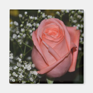 Imã Ímã Rose-005 coral