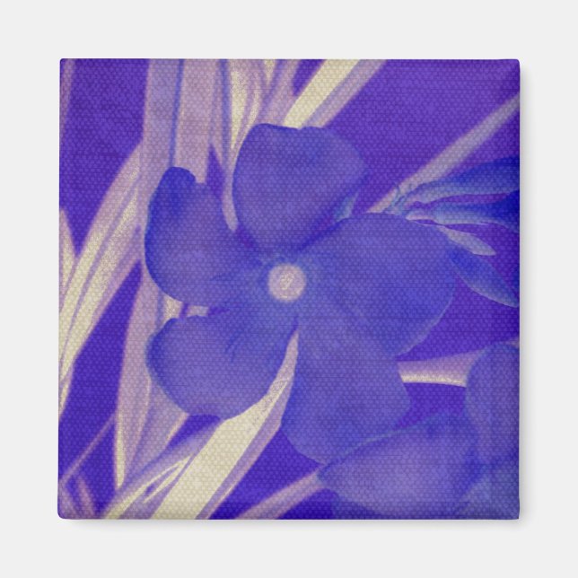 Imã Ímã roxo da flor (Frente)