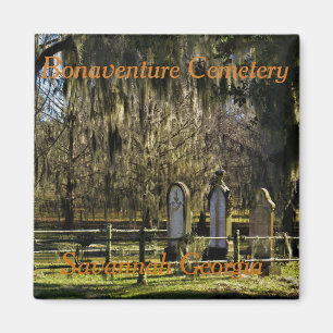 Imã ímã Savannah Bonaventure