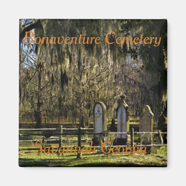 Imã ímã Savannah Bonaventure (Frente)