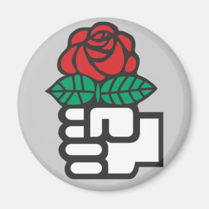 Imã Ímã socialista