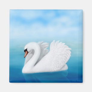 Imã Ímã solitário da cisne