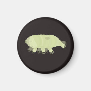 Imã Ímã Tardigrade