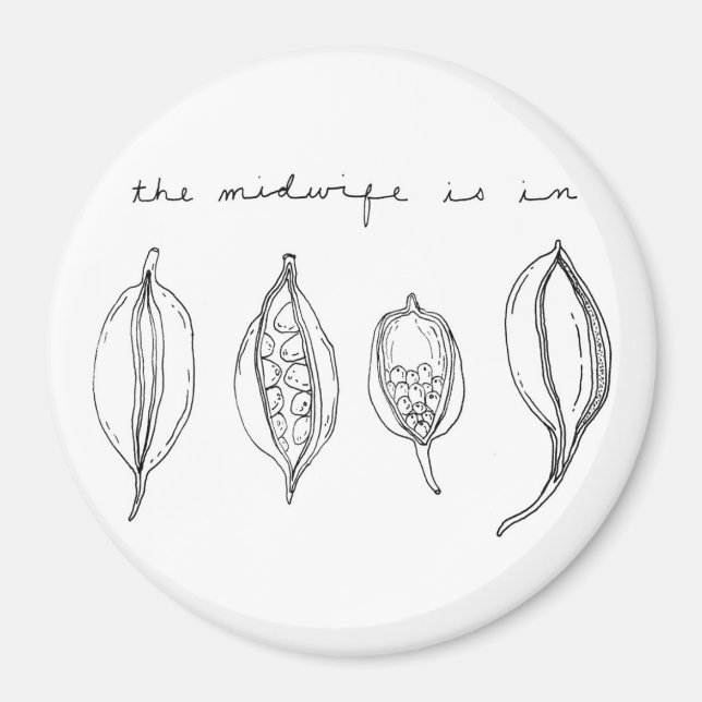 Imã ímã TMII (Frente)