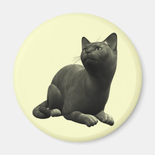 Imã Ímã tranquilo do gato preto