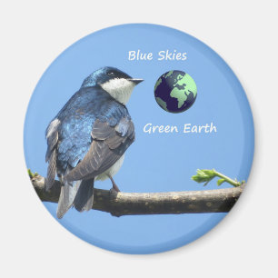 Imã ímã Tree Swallow Ecology