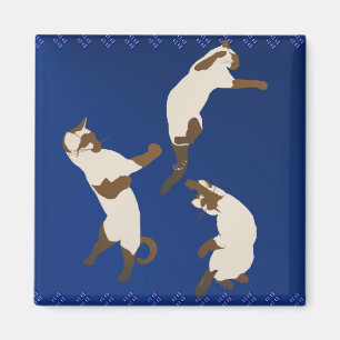 Imã Ímã três Siamese brincalhão