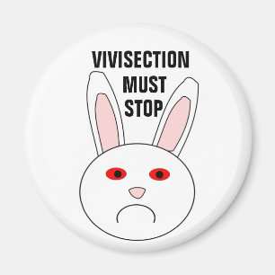 Imã Ímã triste do coelho do laboratório