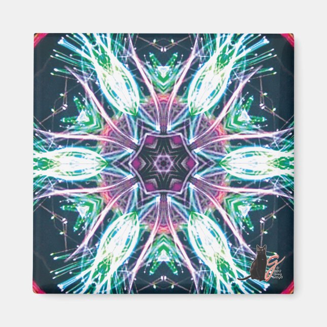 Imã Ímã Tulipas Caleidoscópio (Frente)