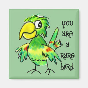 Imã Ímã verde do papagaio