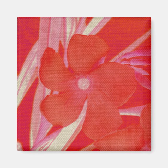 Imã Ímã vermelho da flor (Frente)